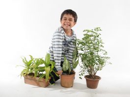 5 Aktiviti “Go Green” Bersama Anak