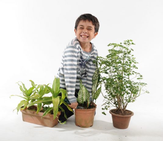 5 Aktiviti “Go Green” Bersama Anak