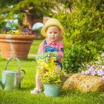 Galakan Budaya Bercucuk Tanam di Rumah