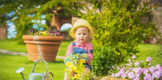 Galakan Budaya Bercucuk Tanam di Rumah