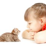 4 Tip Mendapatkan ‘Pets’ Buat si Manja