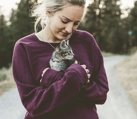 Kucing dan Parasit Toksoplasma: Bahaya Kepada Ibu Hamil?