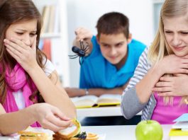 Tolong! Adik takut Labah-labah!