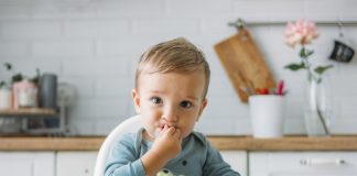 Makanan Pelengkap Bayi: Buatan Sendiri Atau Komersial?