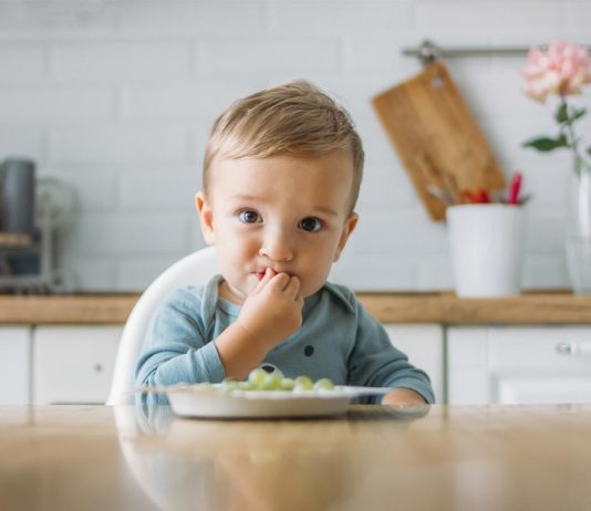 Makanan Pelengkap Bayi: Buatan Sendiri Atau Komersial?