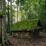 Siapakah Ikon Coconut School?